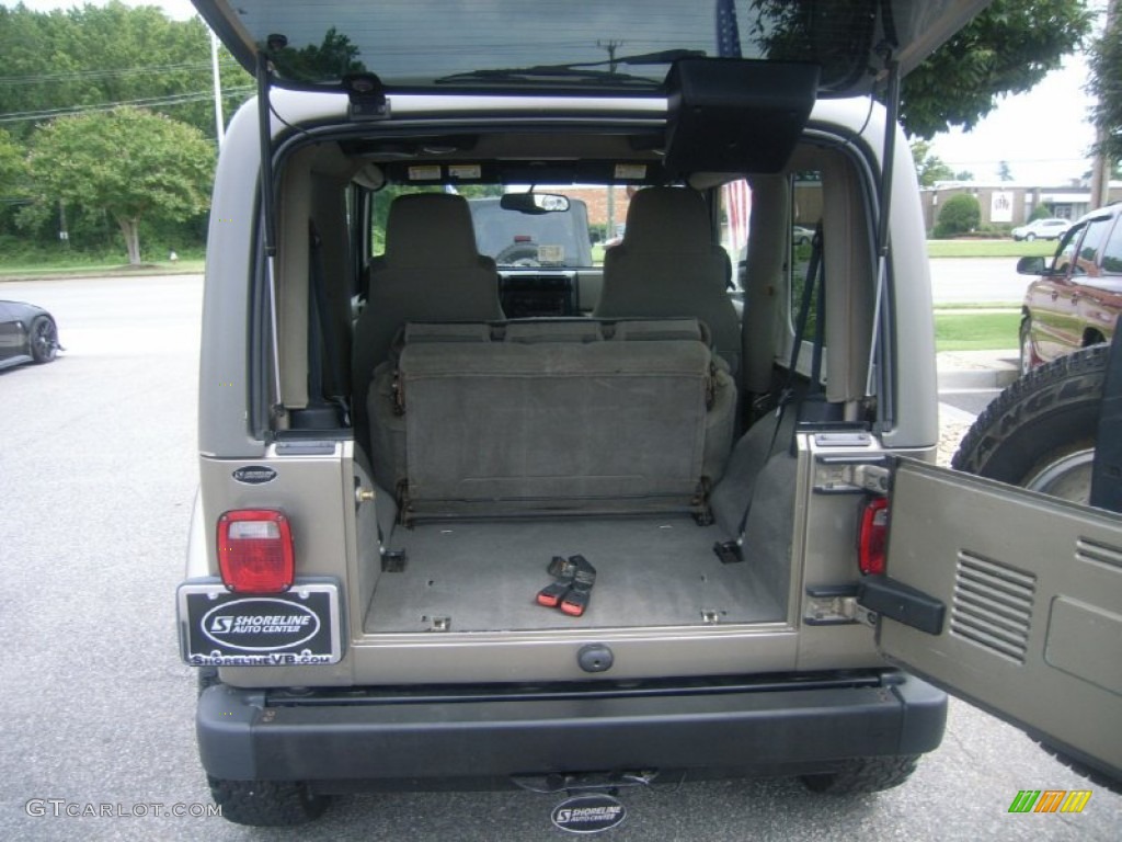 2004 Wrangler Sahara 4x4 - Light Khaki Metallic / Khaki photo #11