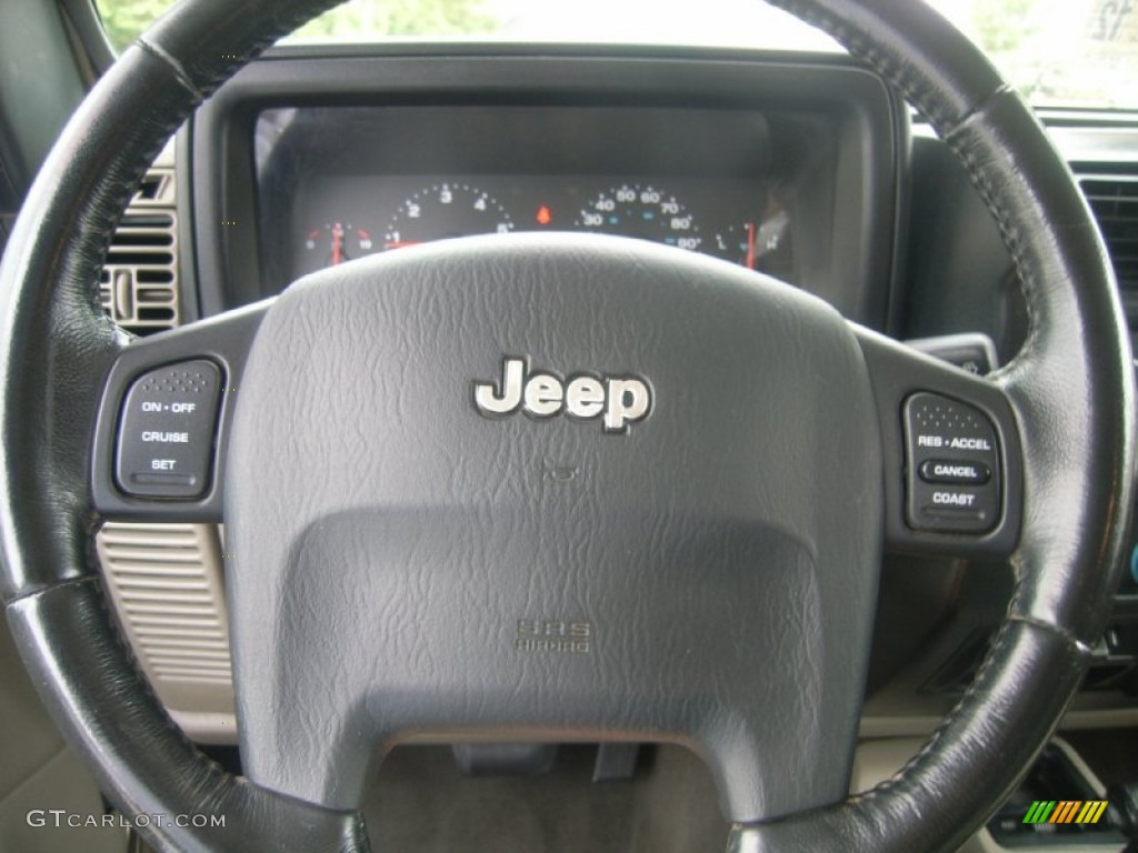 2004 Wrangler Sahara 4x4 - Light Khaki Metallic / Khaki photo #20