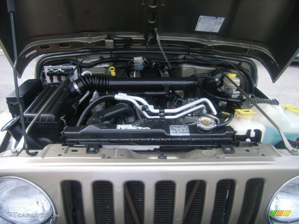 2004 Wrangler Sahara 4x4 - Light Khaki Metallic / Khaki photo #23