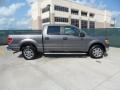 2010 Sterling Grey Metallic Ford F150 XLT SuperCrew  photo #2