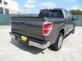2010 Sterling Grey Metallic Ford F150 XLT SuperCrew  photo #3