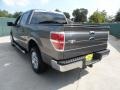 2010 Sterling Grey Metallic Ford F150 XLT SuperCrew  photo #5