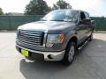 2010 Sterling Grey Metallic Ford F150 XLT SuperCrew  photo #7