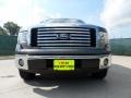 2010 Sterling Grey Metallic Ford F150 XLT SuperCrew  photo #9
