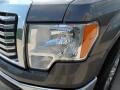 2010 Sterling Grey Metallic Ford F150 XLT SuperCrew  photo #10