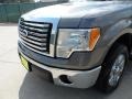 2010 Sterling Grey Metallic Ford F150 XLT SuperCrew  photo #11