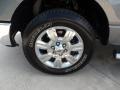 2010 Sterling Grey Metallic Ford F150 XLT SuperCrew  photo #12