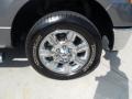 2010 Sterling Grey Metallic Ford F150 XLT SuperCrew  photo #15
