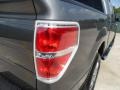 2010 Sterling Grey Metallic Ford F150 XLT SuperCrew  photo #19