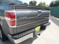 2010 Sterling Grey Metallic Ford F150 XLT SuperCrew  photo #20