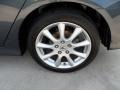 Carbon Gray Pearl - TSX Sedan Photo No. 13