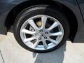 Carbon Gray Pearl - TSX Sedan Photo No. 14