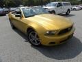 Sunset Gold Metallic 2010 Ford Mustang V6 Premium Convertible Exterior