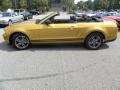 2010 Sunset Gold Metallic Ford Mustang V6 Premium Convertible  photo #2