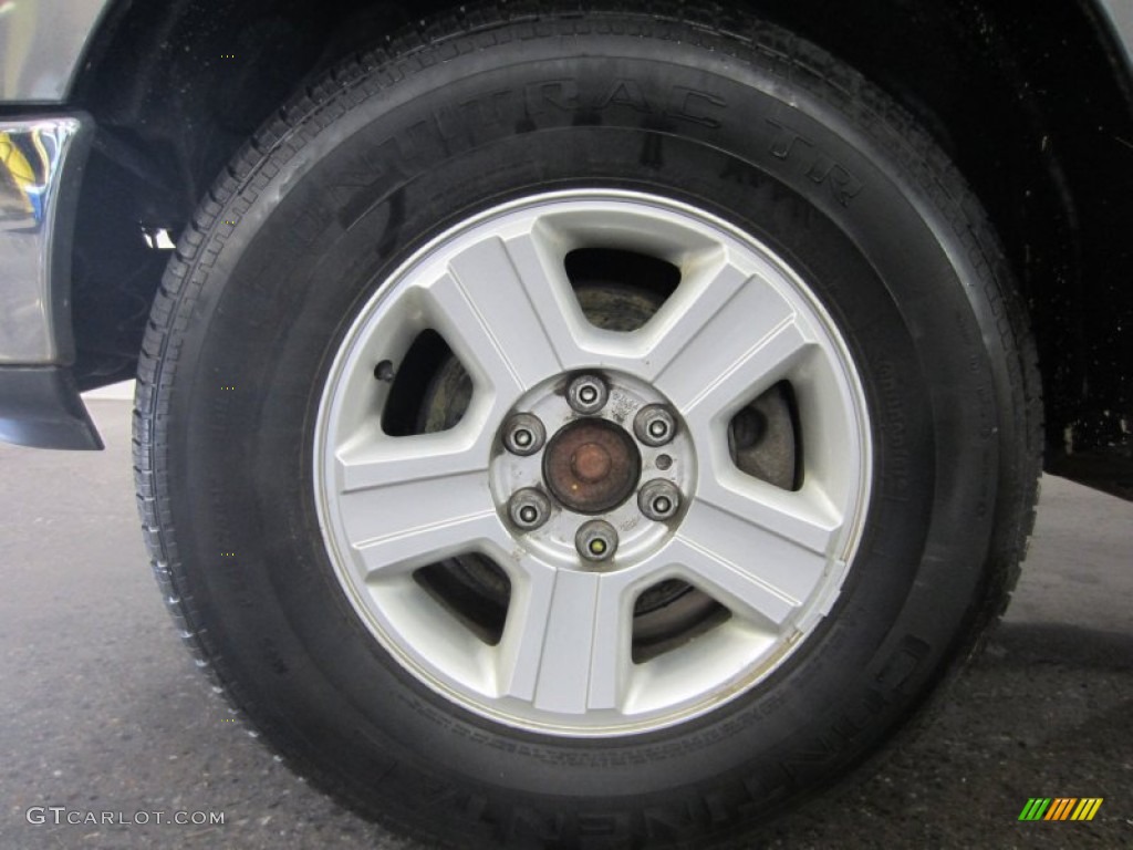2004 F150 XLT SuperCrew 4x4 - Dark Shadow Grey Metallic / Medium/Dark Flint photo #8