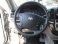 2007 Platinum Sage Hyundai Santa Fe GLS  photo #25