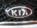 2012 Bright Silver Kia Sorento SX V6  photo #25