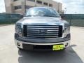 2011 Sterling Grey Metallic Ford F150 XLT SuperCrew  photo #8