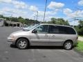 Light Parchment Gold Metallic - Windstar SE Photo No. 4