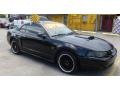 2002 Black Ford Mustang GT Coupe  photo #1