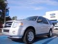 Ingot Silver Metallic - Expedition XLT Photo No. 1