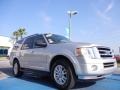 Ingot Silver Metallic - Expedition XLT Photo No. 7