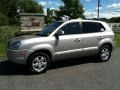 Sahara Silver - Tucson GLS V6 4x4 Photo No. 1