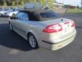 Parchment Silver Metallic - 9-3 2.0T Convertible Photo No. 5