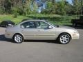 Sunlit Sand Metallic - Maxima SE Photo No. 8