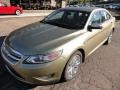 Ginger Ale 2012 Ford Taurus Limited Exterior