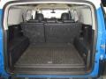 Voodoo Blue - FJ Cruiser 4WD Photo No. 18