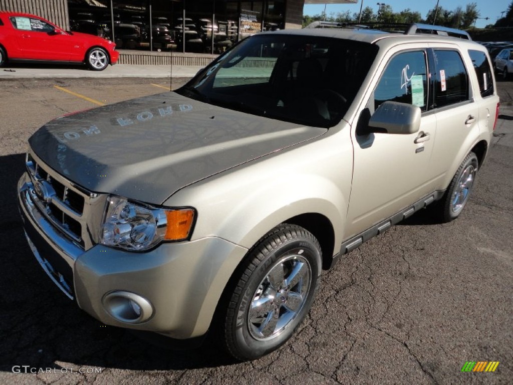 Gold Leaf Metallic 2012 Ford Escape Limited V6 4WD Exterior Photo #53293134