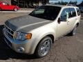 Gold Leaf Metallic 2012 Ford Escape Limited V6 4WD Exterior