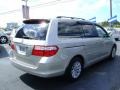 Silver Pearl Metallic - Odyssey Touring Photo No. 7
