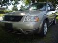 Pueblo Gold Metallic 2005 Ford Freestyle SE