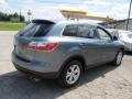 Dolphin Gray Mica - CX-9 Sport AWD Photo No. 7