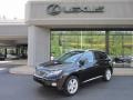 2010 Obsidian Black Lexus RX 450h AWD Hybrid  photo #1