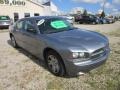 Silver Steel Metallic - Charger SE Photo No. 7