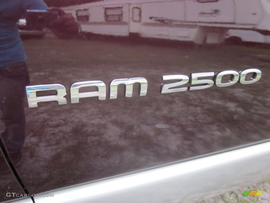 2004 Dodge Ram 2500 SLT Regular Cab 4x4 Marks and Logos Photo #53307870