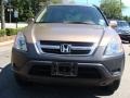 Mojave Mist Metallic - CR-V EX 4WD Photo No. 5