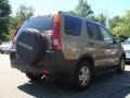 Mojave Mist Metallic - CR-V EX 4WD Photo No. 8