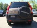 Mojave Mist Metallic - CR-V EX 4WD Photo No. 9