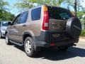 Mojave Mist Metallic - CR-V EX 4WD Photo No. 10