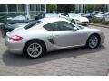 Arctic Silver Metallic - Cayman  Photo No. 6