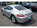 Arctic Silver Metallic - Cayman  Photo No. 9