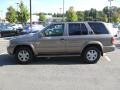 Bronzed Gray Metallic - Pathfinder LE Photo No. 2