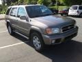 Bronzed Gray Metallic - Pathfinder LE Photo No. 6