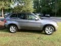 2007 Platinum Bronze Metallic BMW X5 3.0si  photo #5