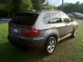 2007 Platinum Bronze Metallic BMW X5 3.0si  photo #6