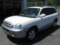 2006 Nordic White Hyundai Santa Fe Limited  photo #2